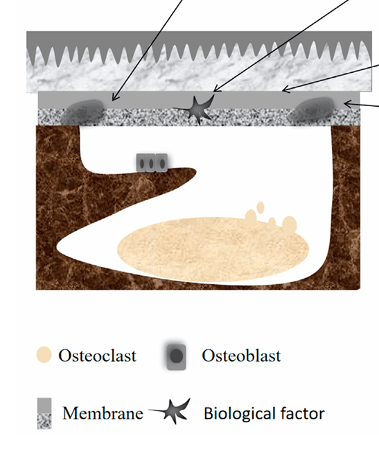 Ekran görüntüsü 2025-12-18 171754.png