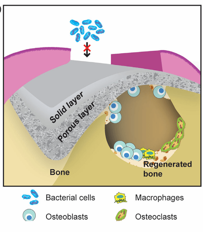 Ekran görüntüsü 2025-12-18 171826.png